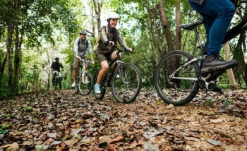 Family cycling through woods